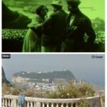 assunta spina davinotti