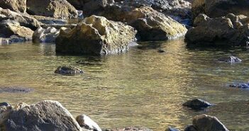 ischia terme libere