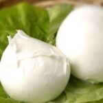 mozzarella di bufala