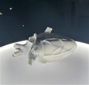 76 52 22 90 Le forme dei sogni tornano a mare